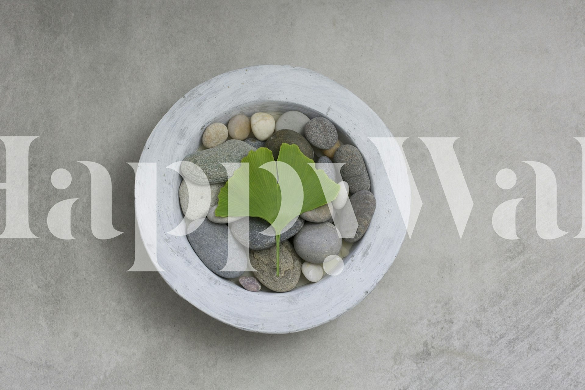Green ginkgo leaf on smooth gray pebbles wallpaper