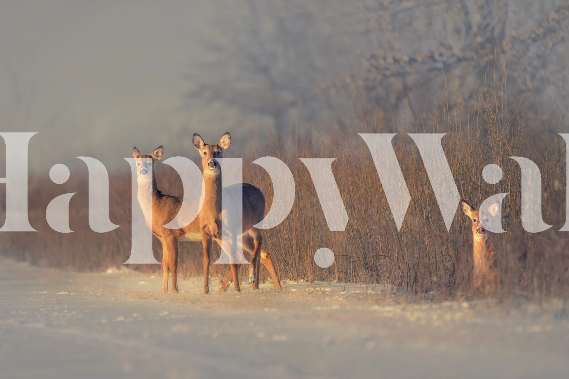 Three deer wallpaper in a room