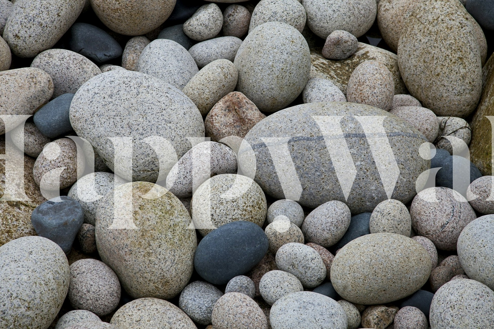 Smooth Grey Pebble tapettisuunnittelu huoneessa