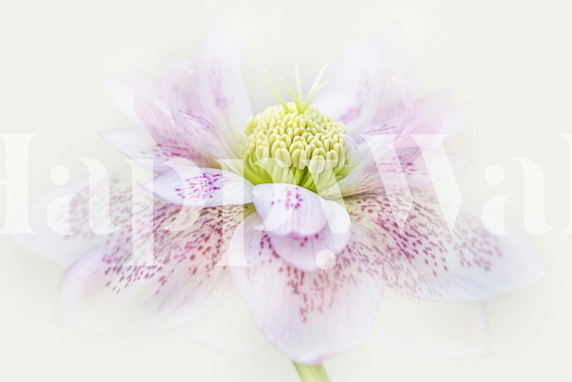 Blomstret tapetdesign med bløde farver