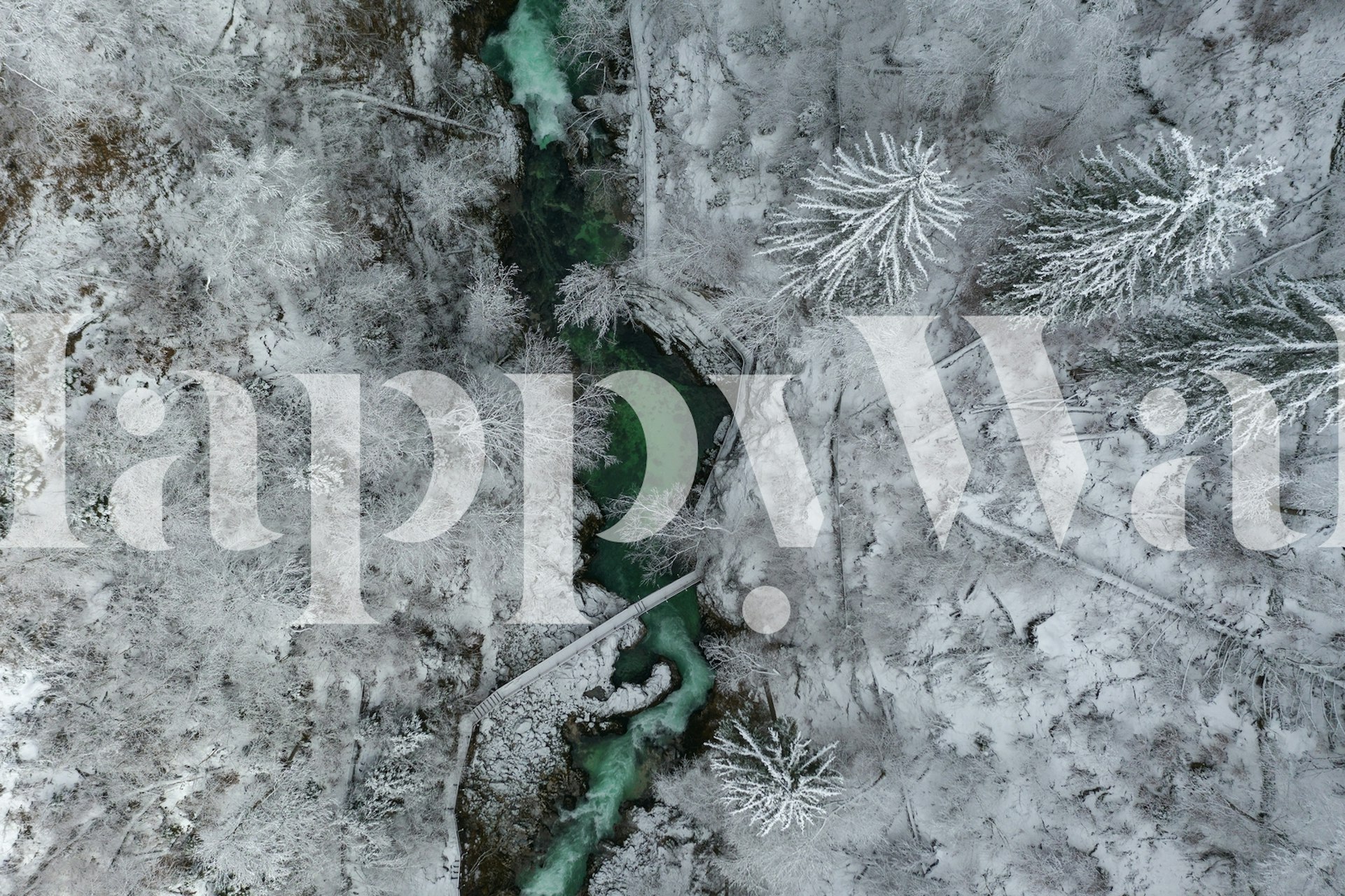 Blejski Vintgar wallpaper in a room