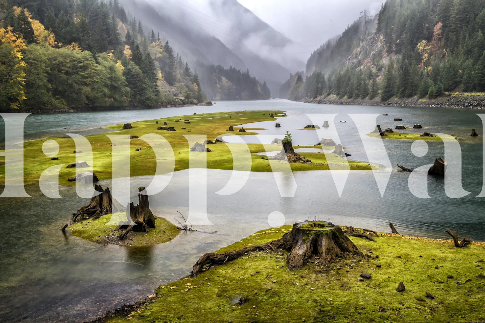 Papel tapiz River Carpet en una habitación moderna