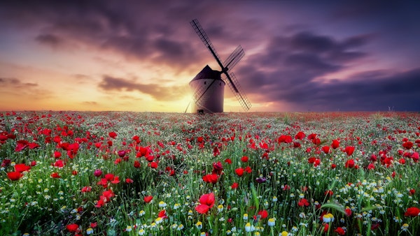 spring by the windmill