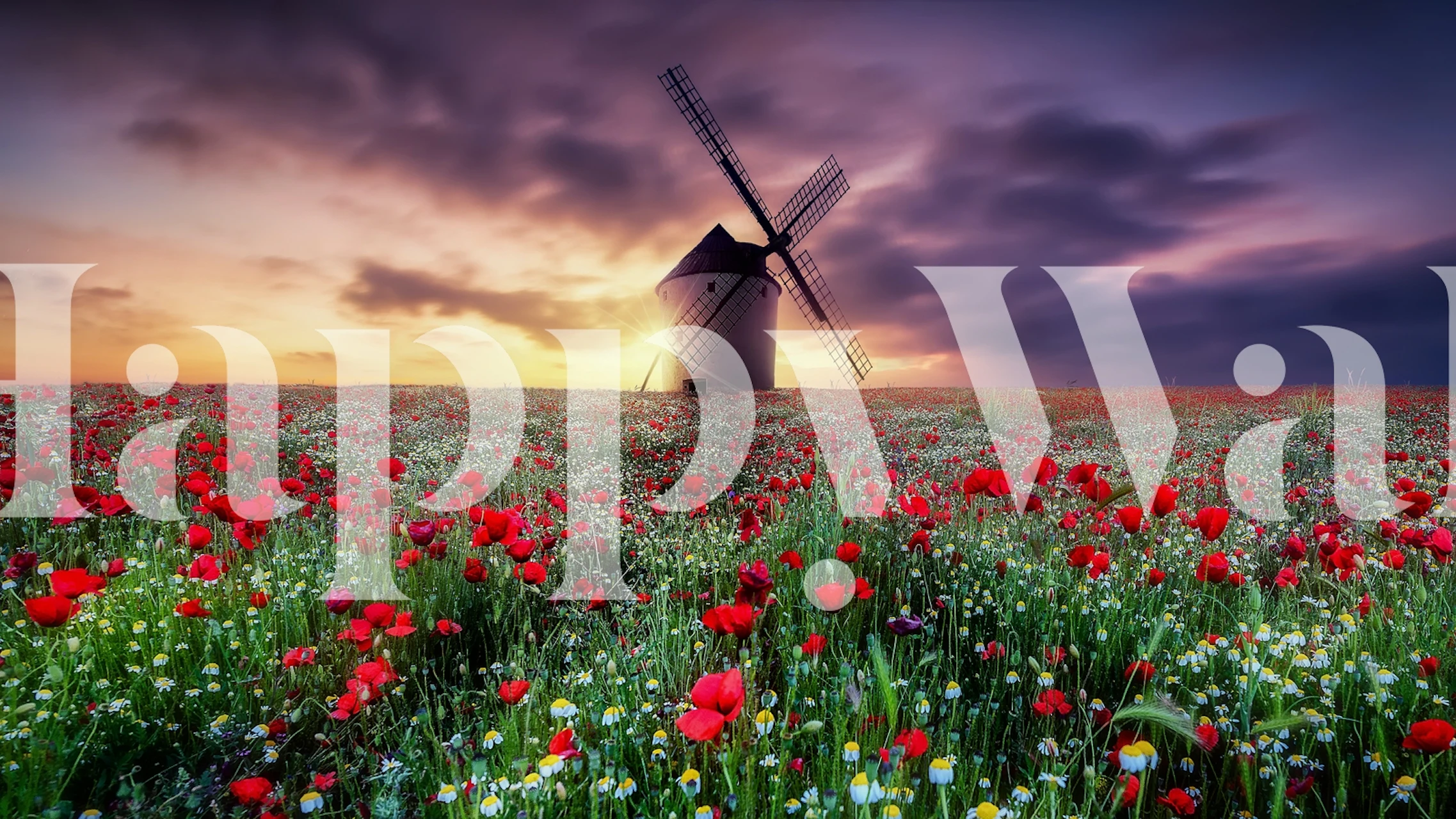 Spring landscape with windmill and colorful blooming flowers wallpaper