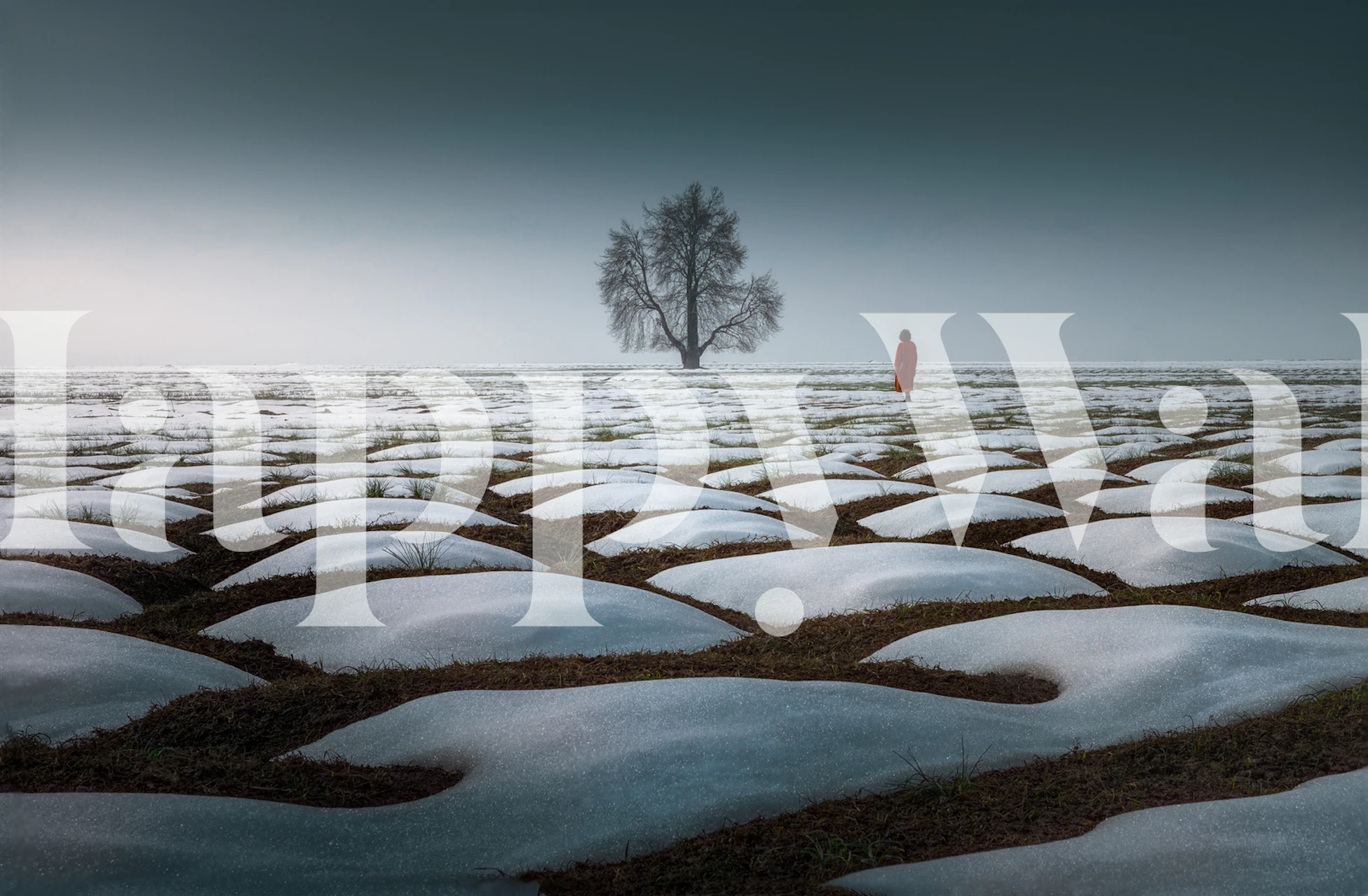 A person in red walking towards a lone tree in a snow-covered landscape wall mural