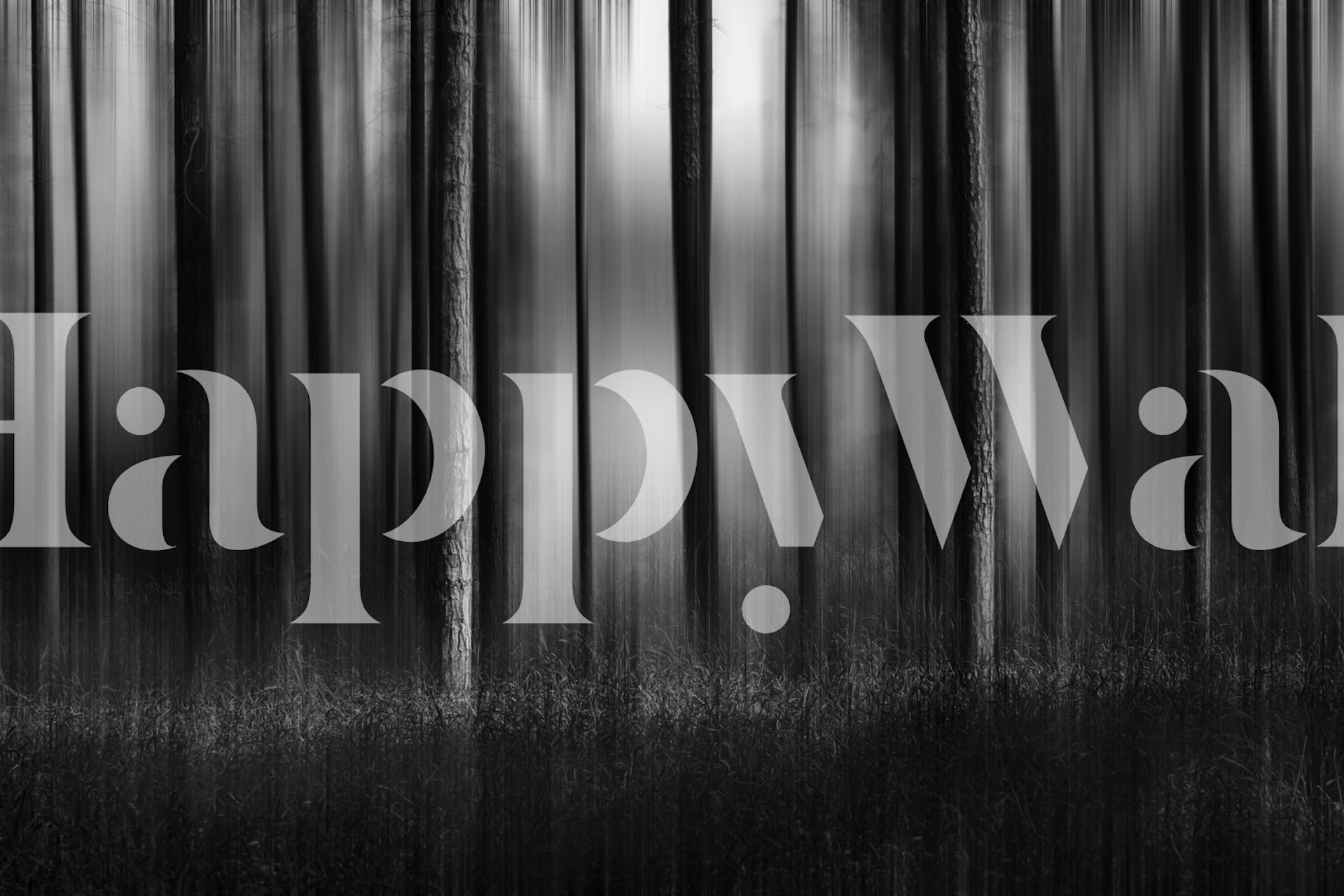 Abstract forest silhouette in black and white wallpaper