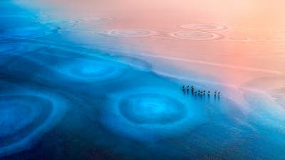 Τοιχογραφία