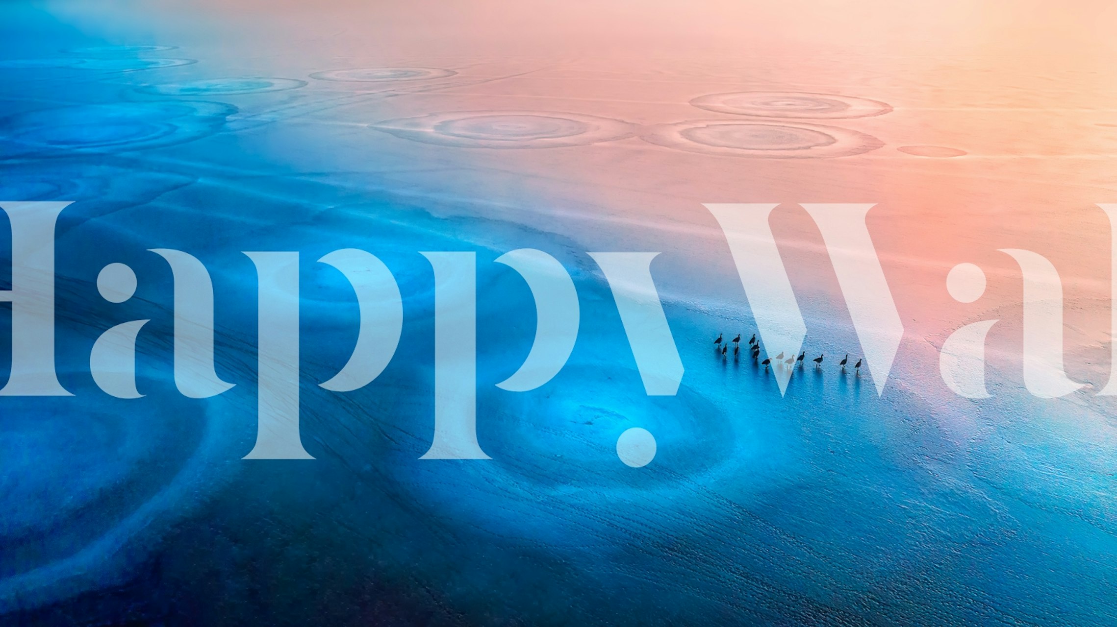 Ταπετσαρία Frozen World σε ένα δωμάτιο