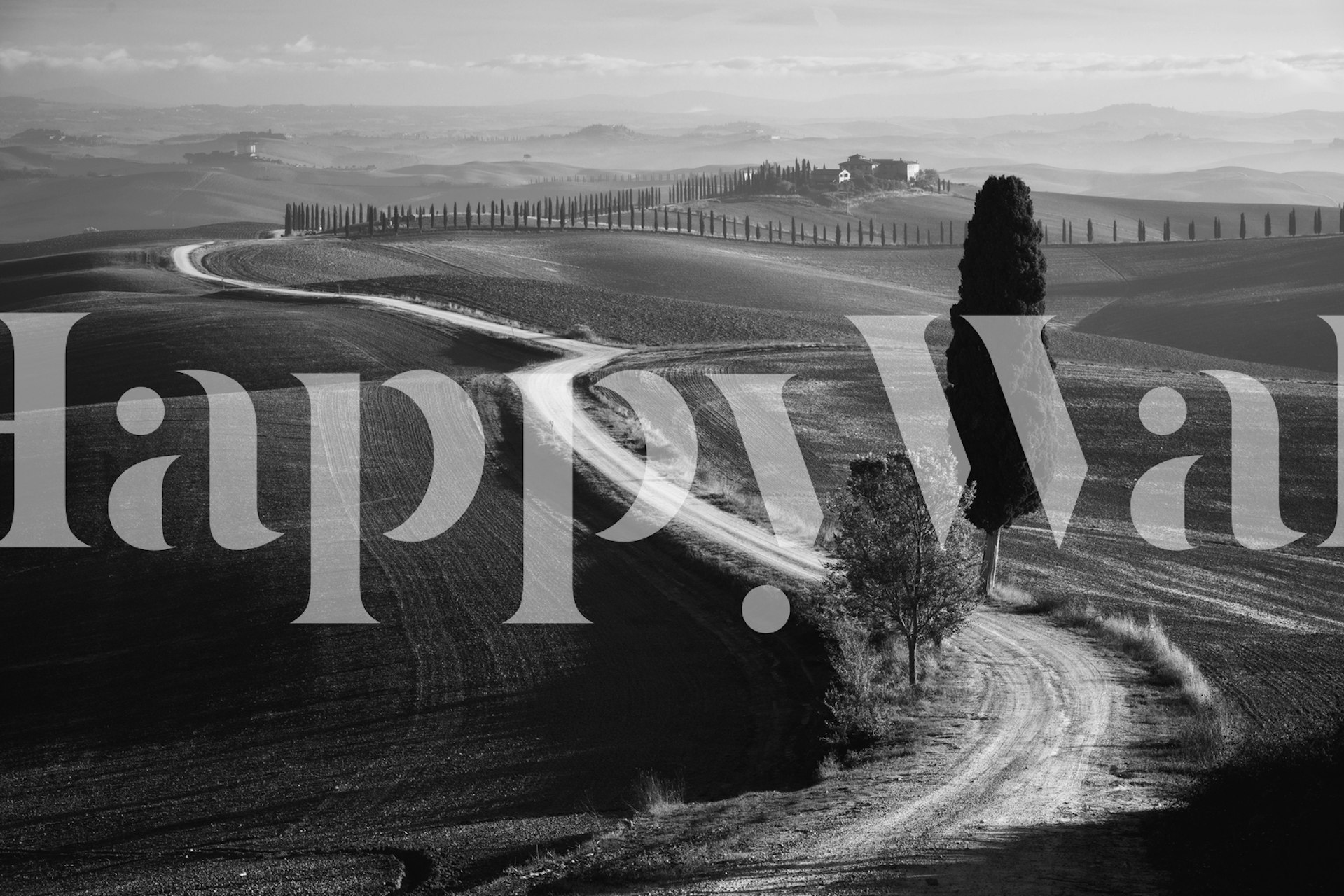 Black and white wall mural of a serene countryside morning with a winding road and a solitary tree