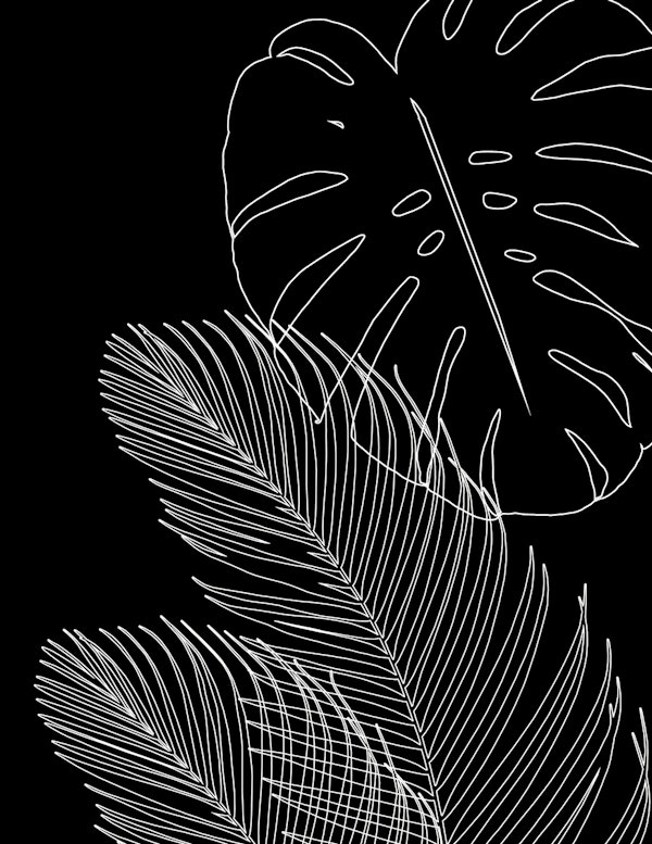 Leaves Line Art 4