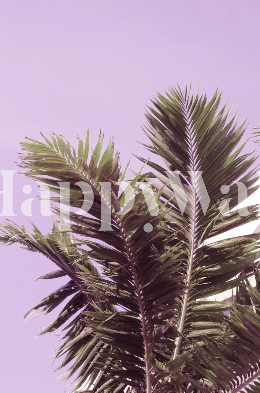 Tropical palm leaves on a purple background wallpaper
