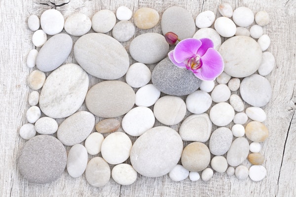 Pink Orchid On White Pebble