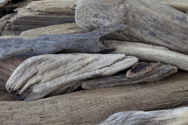 Driftwood