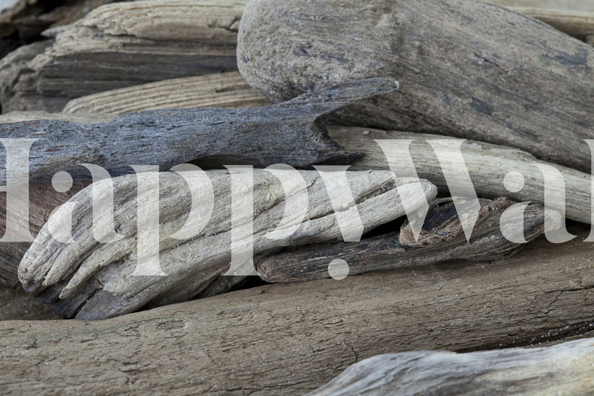 Diseño de papel tapiz Driftwood en una habitación