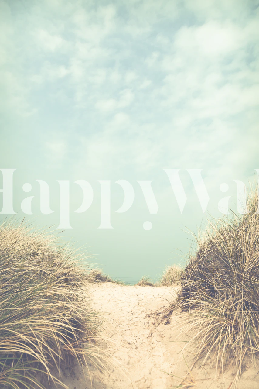 Polku hiekkadyynien läpi ja ruohoa, joka johtaa rannalle kirkkaan sinisen taivaan seinämaalauksen alla