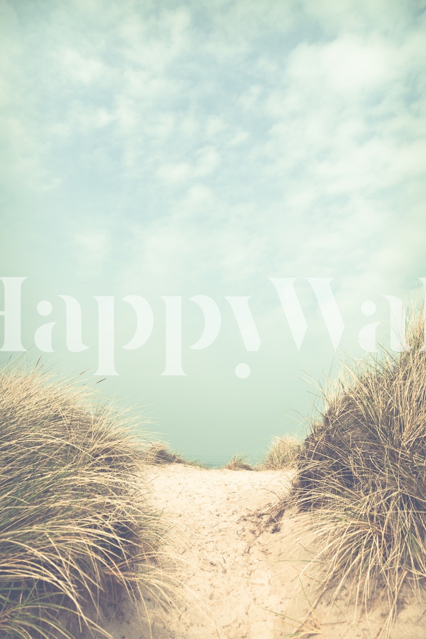 Beach pathway with sand and grass, soft colors wallpaper