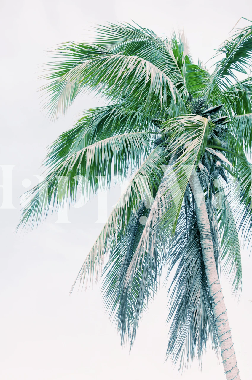 Tropical palm tree wall mural with a pastel background