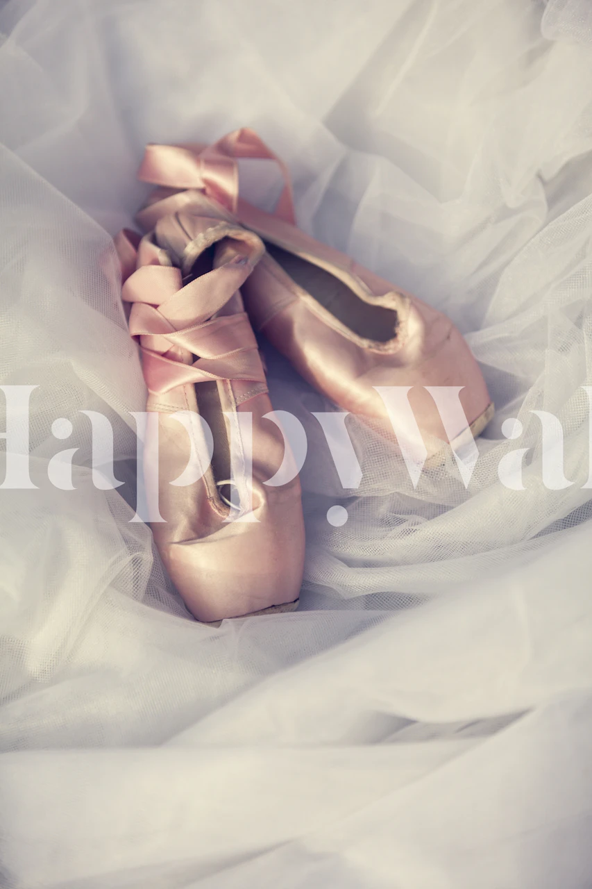 Pink ballet shoes with ribbons on a soft white tulle wallpaper