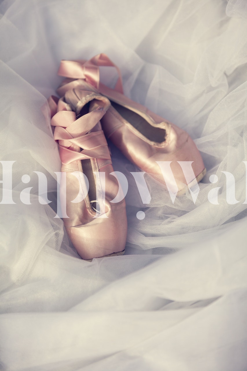 Pink ballet shoes with ribbons on a soft white tulle wallpaper