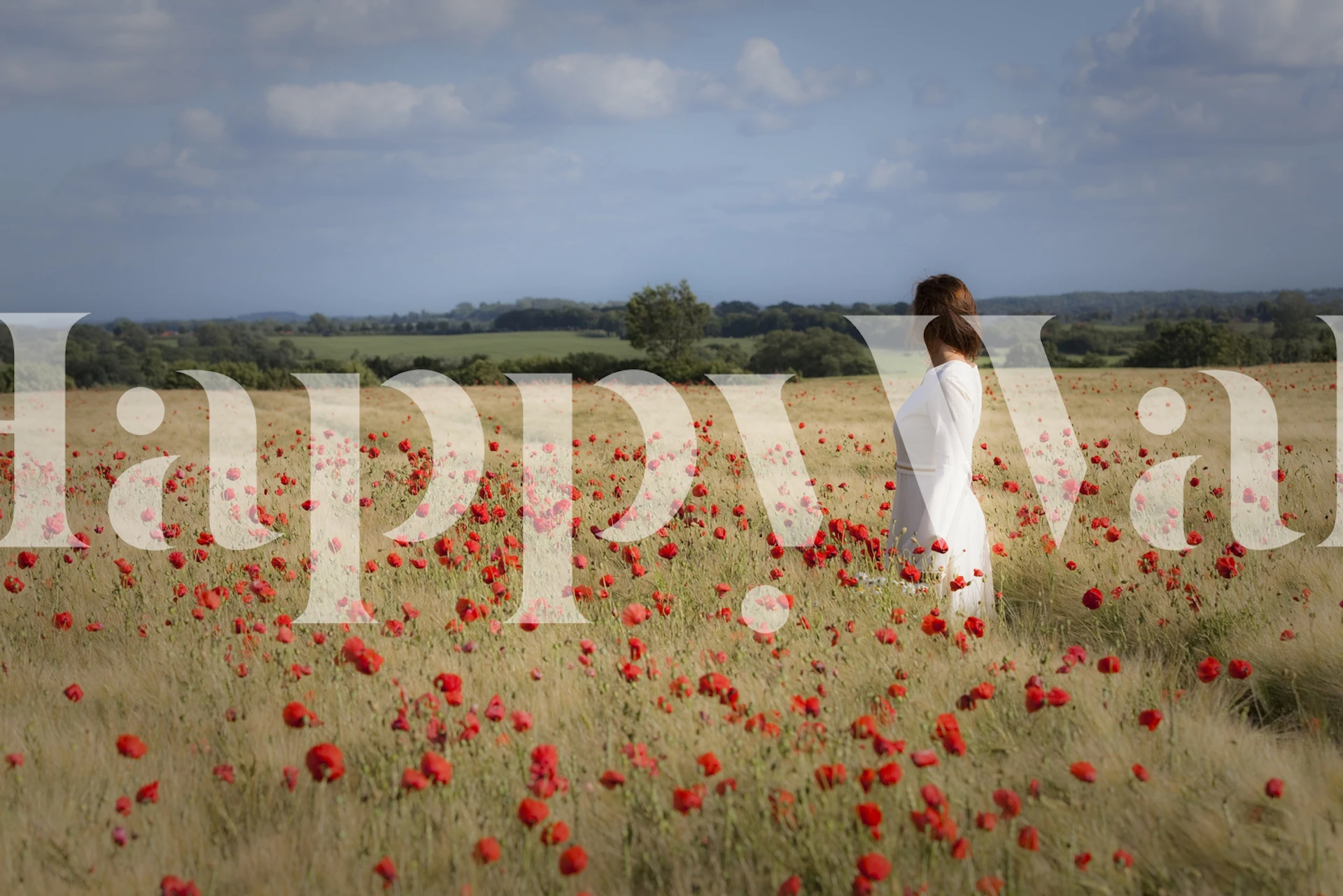 Osoba koja stoji u polju crvenih makova ispod murala s oblačnim nebom