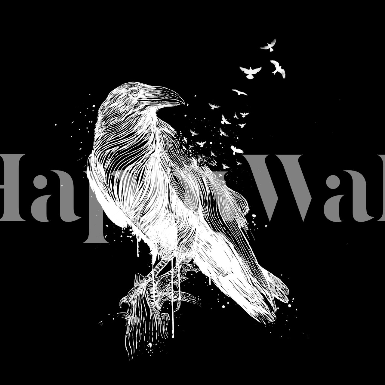 Black and white bird illustration wallpaper