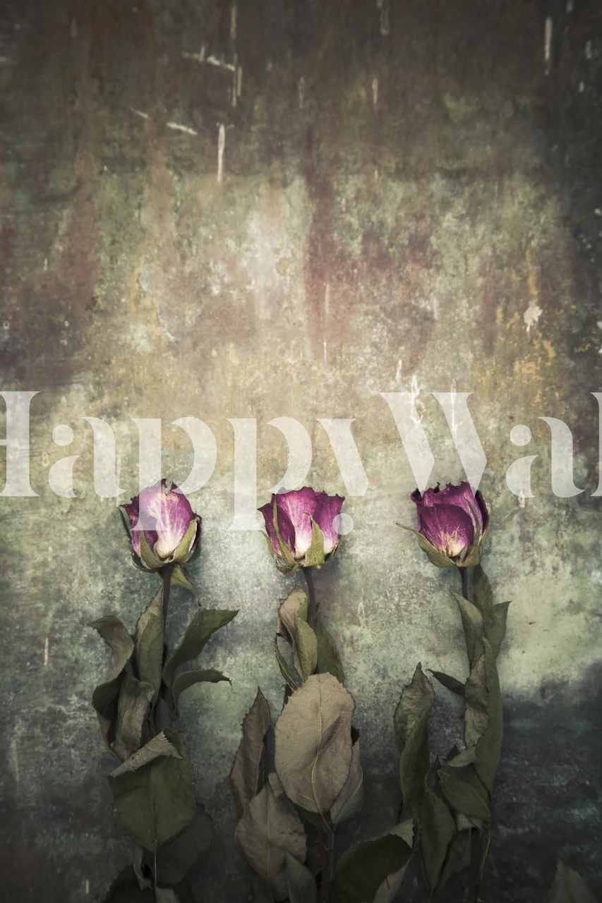 Three dry roses on textured background wallpaper