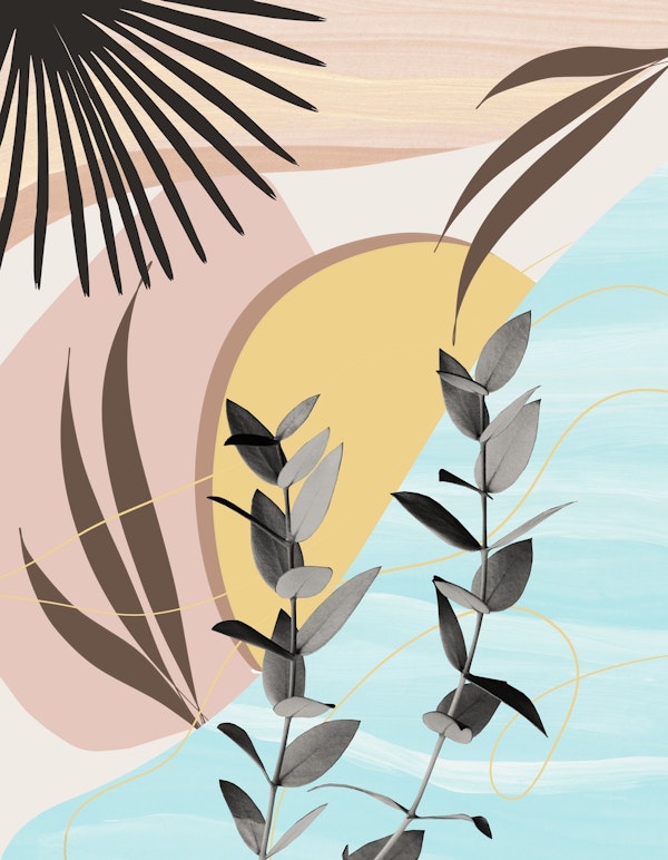 Eucalyptus Tropical Oasis 3