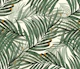 Palm Leaves Jumbo
