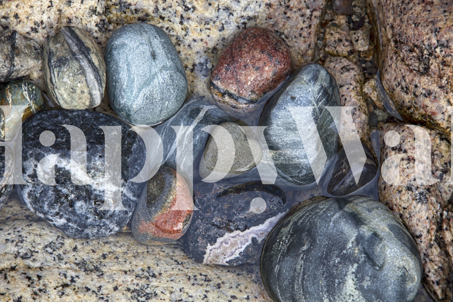 Heart-shaped stone among various gray and brown rocks wallpaper