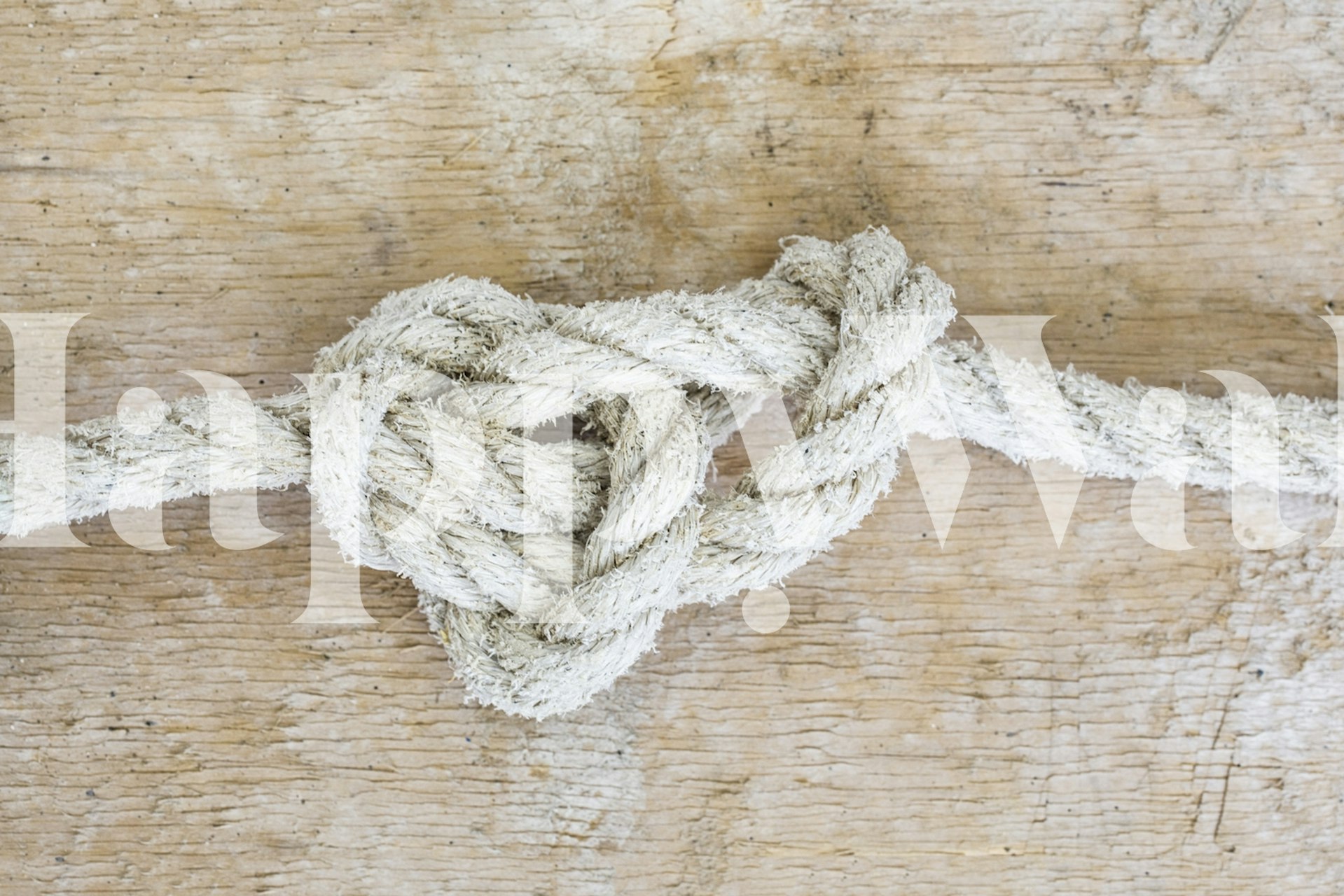 Tied Knot carta da parati in una stanza