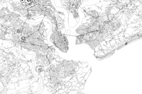 Charleston Map tapet