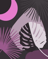 Yin Yang Monstera Fan Palm 3 papiers peint