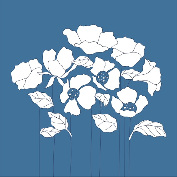 White Poppies on Blue