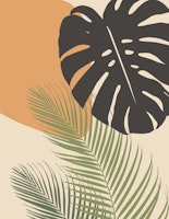 Monstera Palm Finesse 7 ταπετσαρία