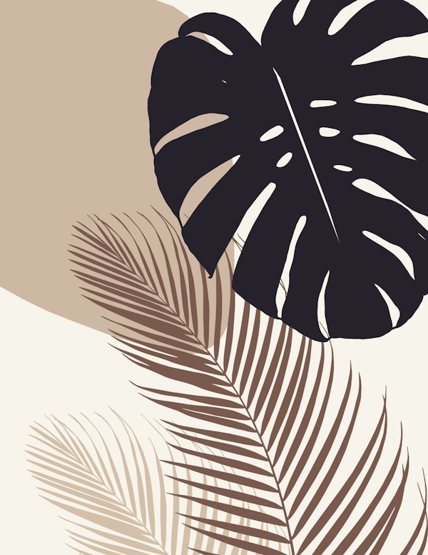 Monstera Palm Finesse 8