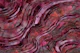 Burgundy Red Marble