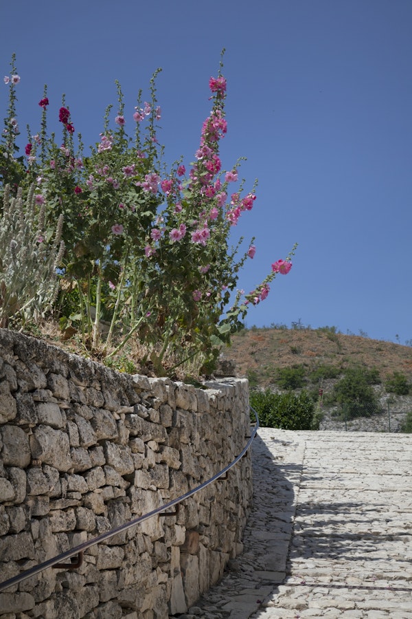 Flower Sandstone Wall Provence