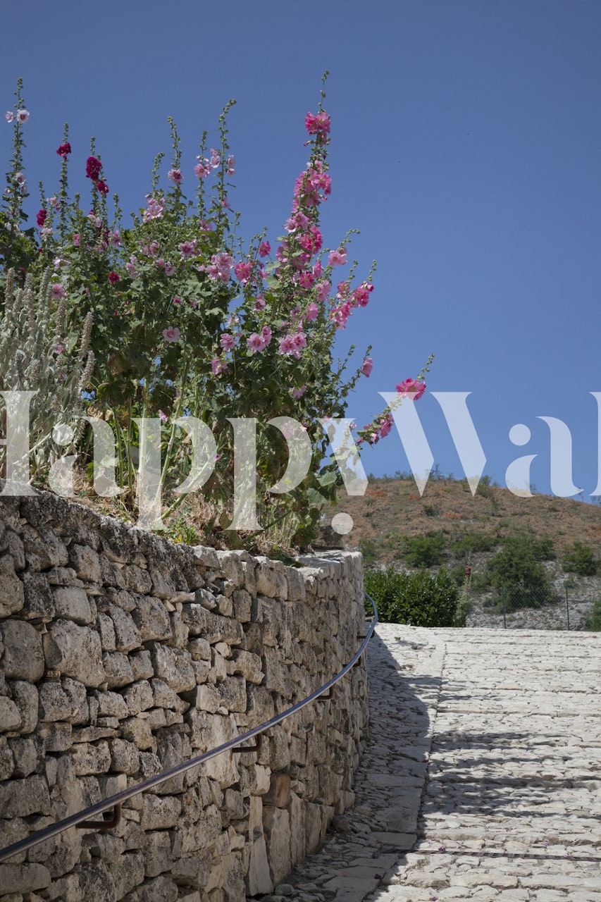 Traditional Provence stone wall with flowering plants under a clear blue sky