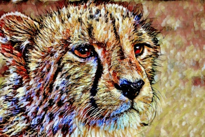 Fresk