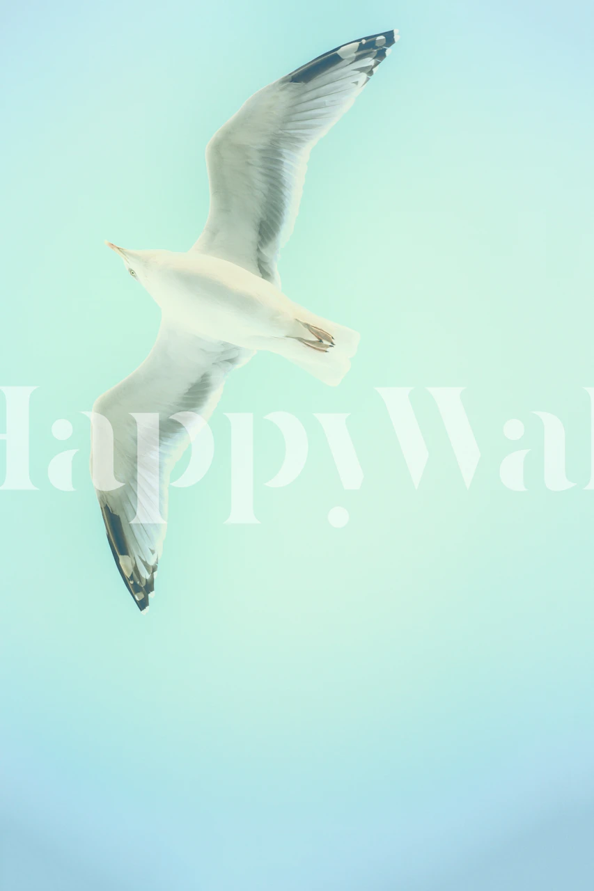 Gaviota volando en papel tapiz de cielo azul