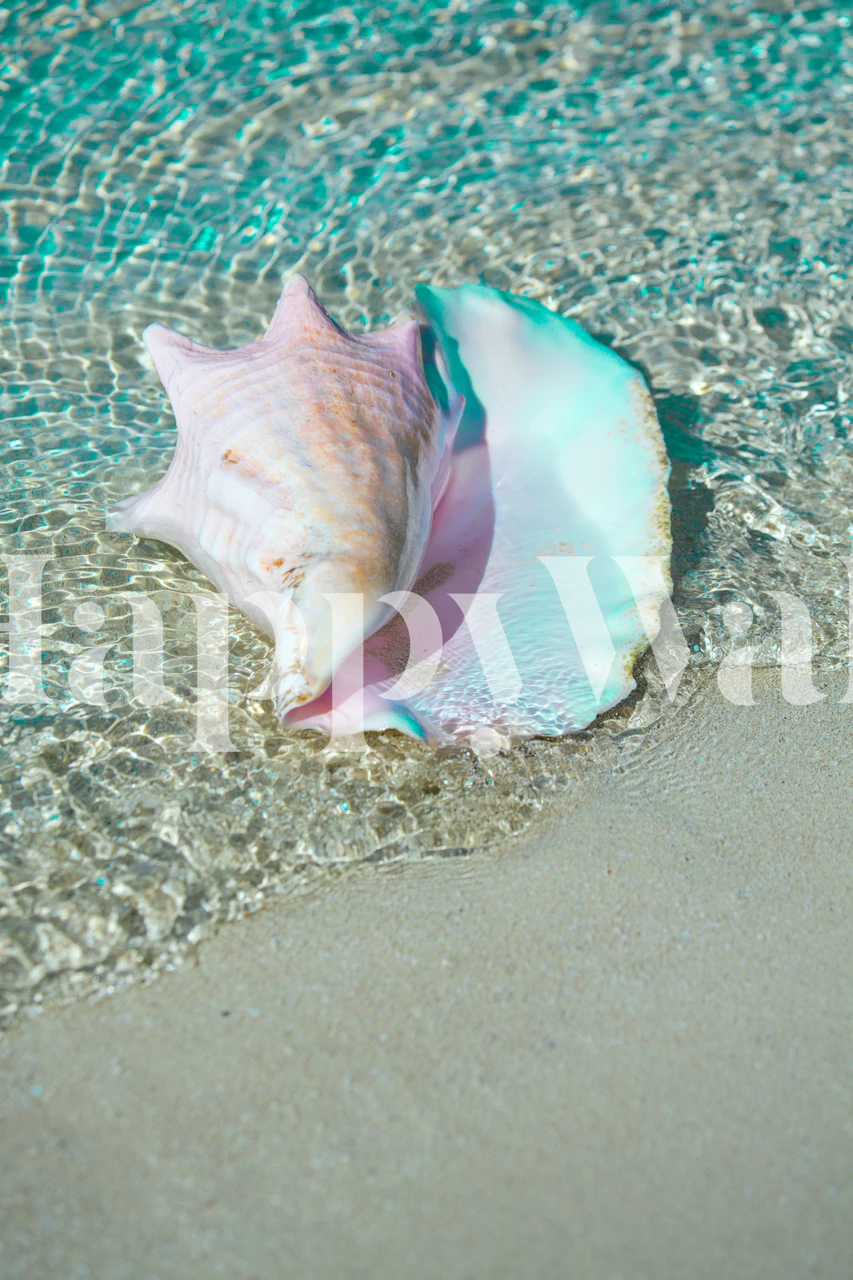 Seashell wallpaper displayed in a room