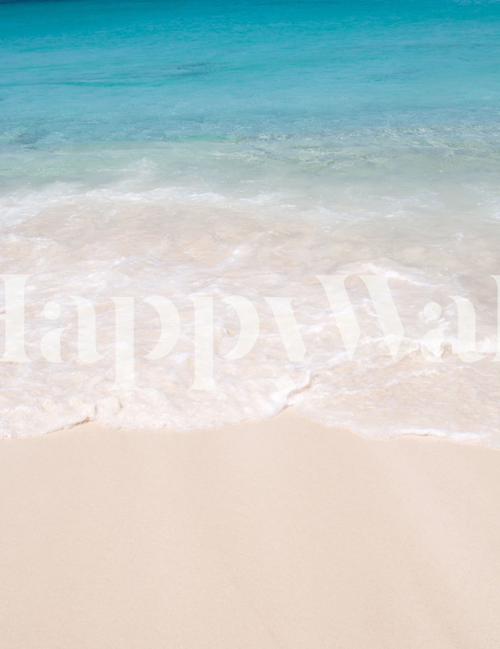 Caribbean ocean wallpaper displayed in a room