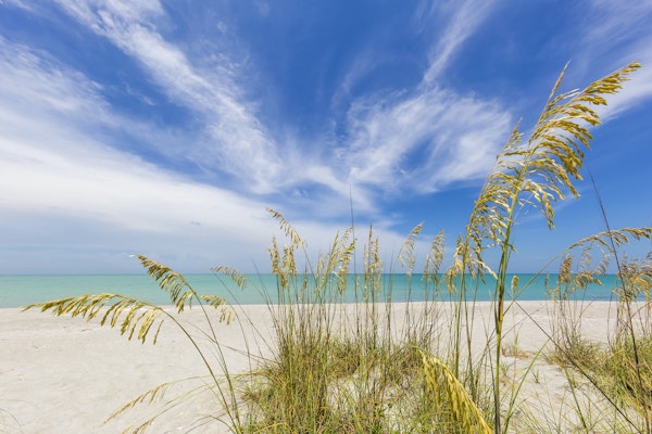 Calmness on the beach