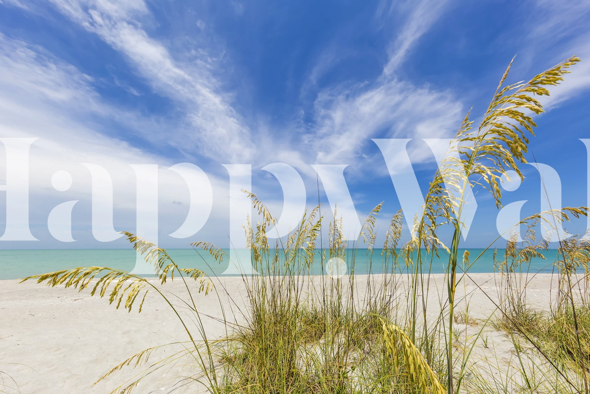 Beach scene wallpaper with tall grass and blue sky