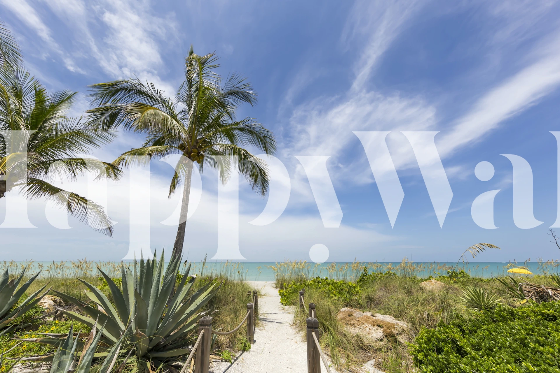 Tapeta Path to the beach v pokoji