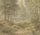 Magic Forest