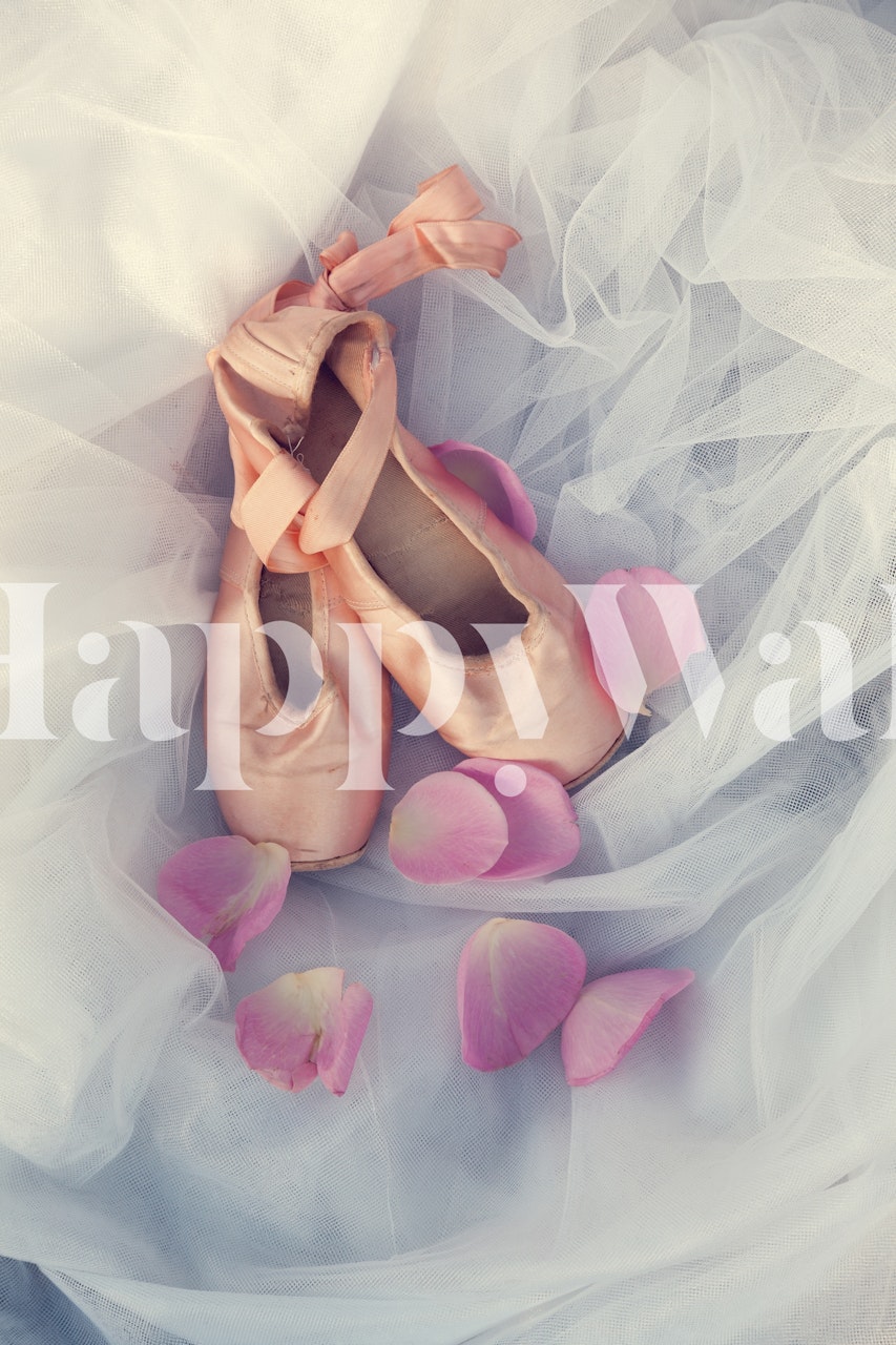 Ballet shoes and scattered rose petals wall mural on a tulle background.