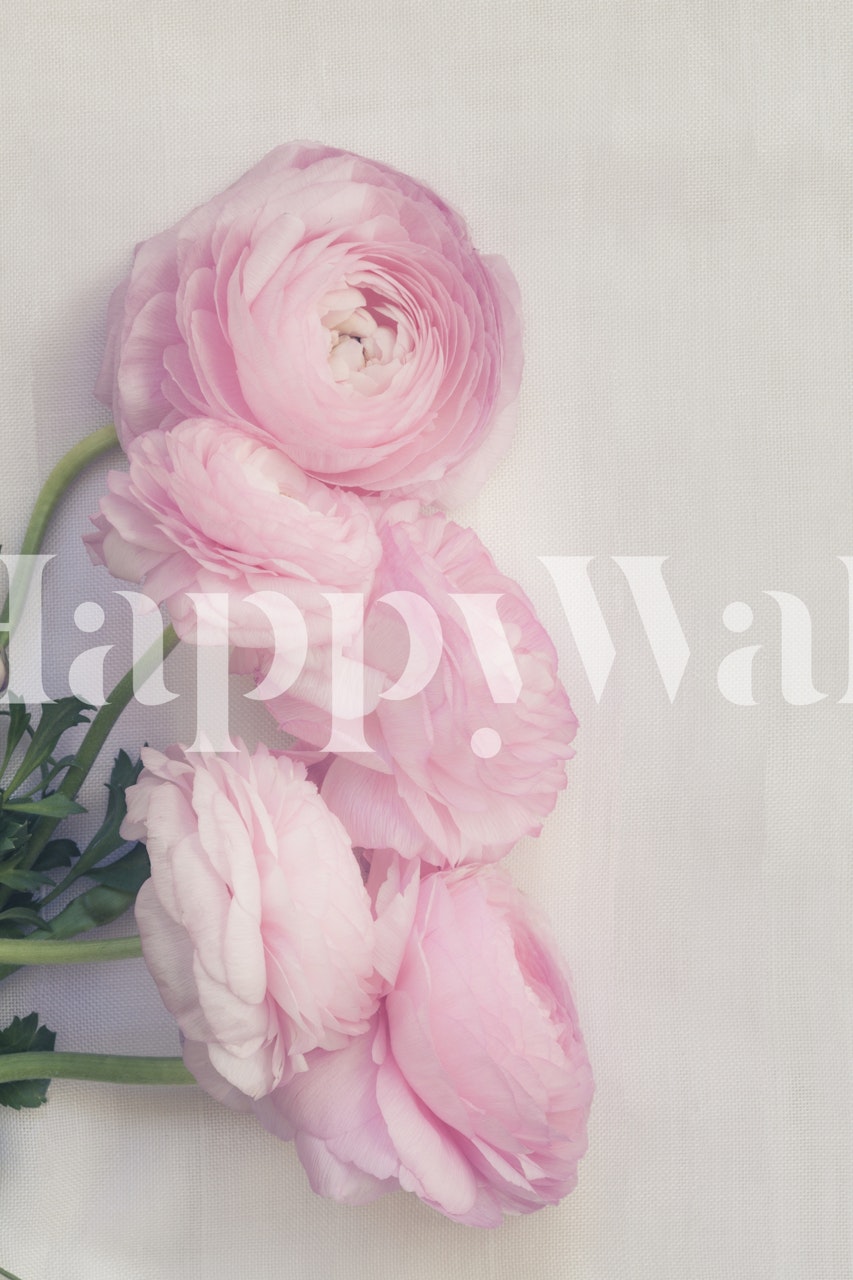 Papel pintado Pink Peonies en una habitación