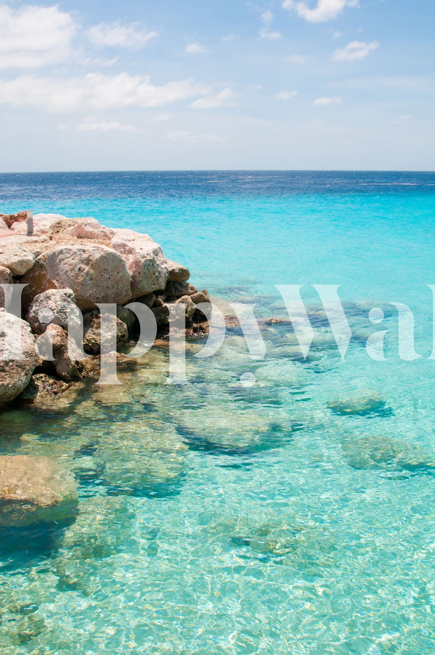Caribbean Ocean Dream wallpaper in a room