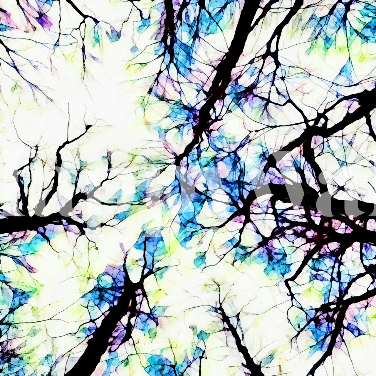 Kleurrijk fotobehang van bostakken met regenboogtinten tegen een witte achtergrond